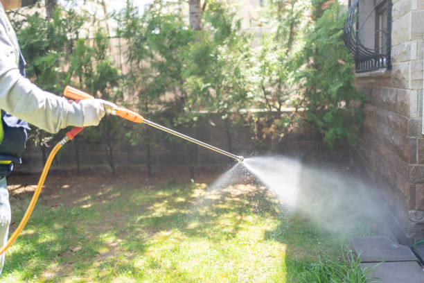 Best Termite Control Services  in Grand Marais, MN