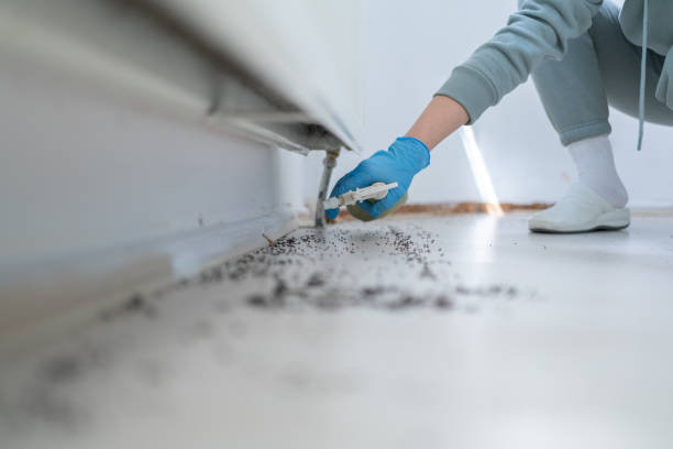 Best Commercial Pest Control Services  in Grand Marais, MN